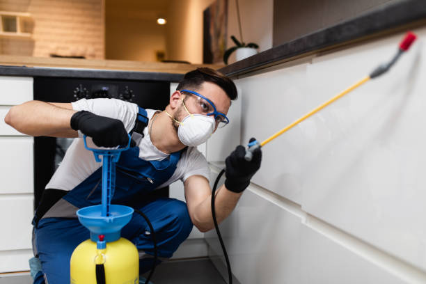 Best Pest Control Treatment  in Marietta, OK