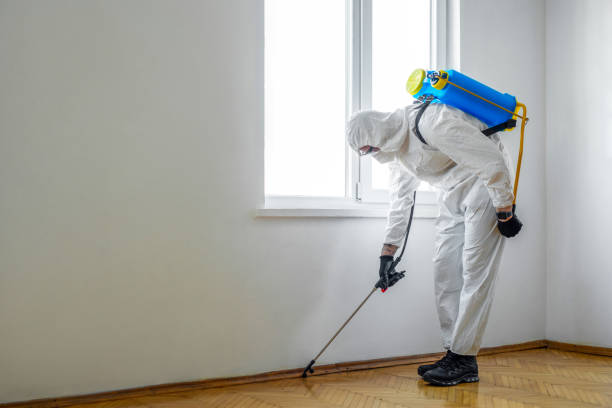 Best Pest Control Near Me  in Marietta, OK