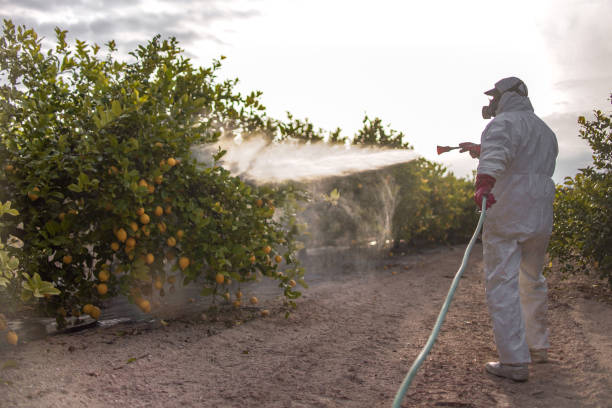 Best Pest Control Near Me in Marietta, OK