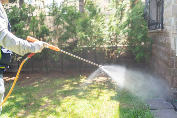 Best Residential Pest Control  in Marietta, OK