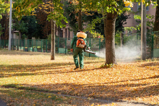 Best Emergency Pest Control  in Marietta, OK