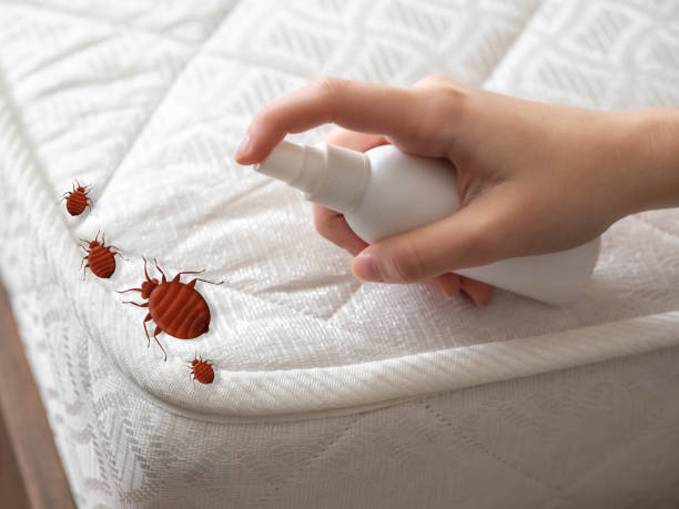 Best Best Pest Control Companies  in Marietta, OK