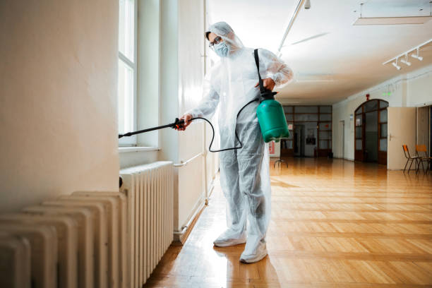 Best Affordable Pest Control Services  in Marietta, OK