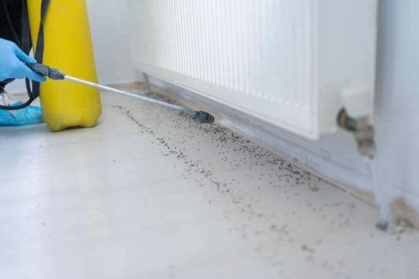 Best Exterminator Services  in Marietta, OK