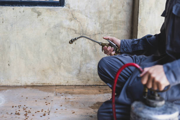 Best Pest Removal Services  in Marietta, OK